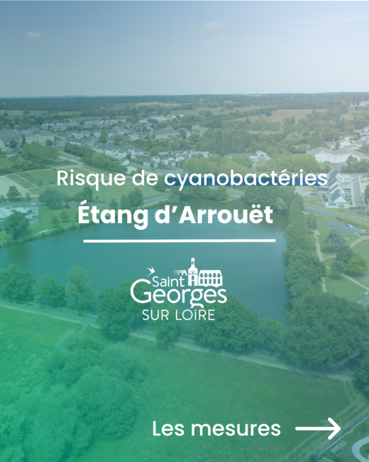 Risque de cyanobactérie à l&rsquo;étang d&rsquo;Arrouët