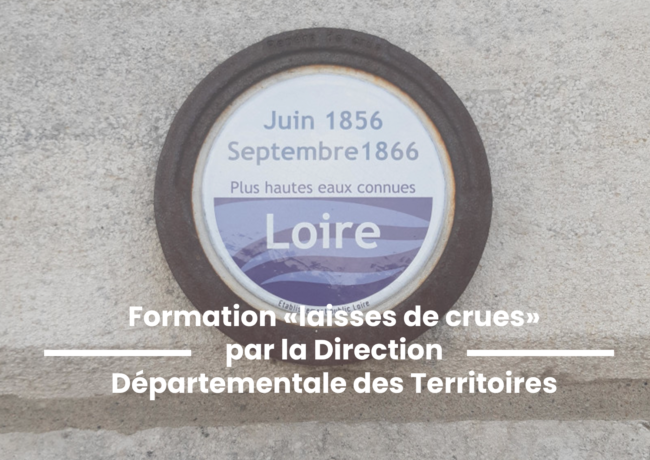 Formation « laisses de crues »